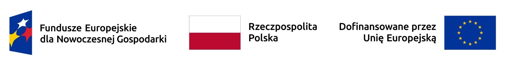 Logotypy: Unii Europejskiej, flaga Polski, flaga Unii Europejskiej oraz napisy: Fundusze Europejskie dla Nowoczesnej Gospodarki, Rzeczpospolita Polska, Dofinansowane przez Unię Europejską.